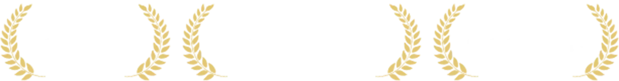 実績