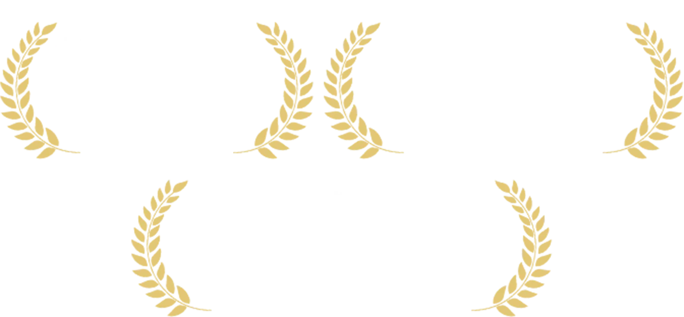 実績